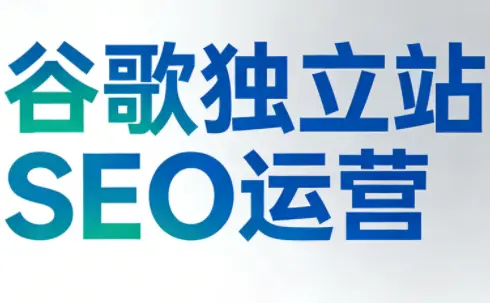 谷歌独立站SEO运营(更新2026)-云峰项目库