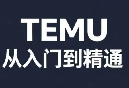 跨境麦冬·TEMU从入门到精通-云峰项目库
