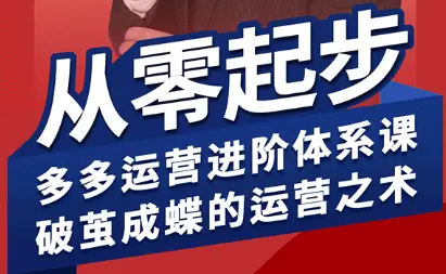 海神·拼多多运营进阶系统课(更新9月)-云峰项目库