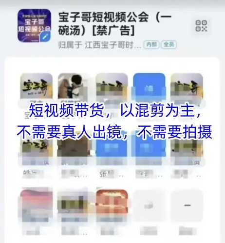 宝子哥头部团队短视频带货,以混剪为主,不需要真人出镜,不需要拍摄【更新26年3月】-云峰项目库