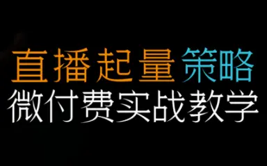 半野老师·直播带货起量与微付费必学课视频号-云峰项目库