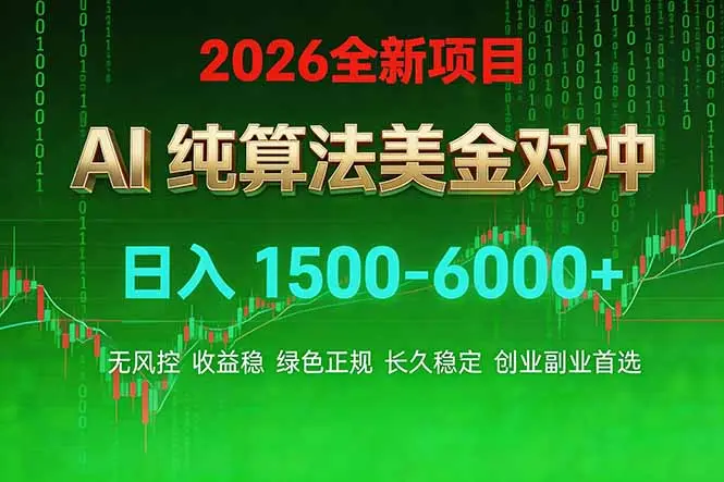 2026 全新美金对冲项目，不套平台赠金，不封号，纯算法对冲，日入 1500-6000+-云峰项目库