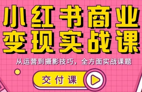 饭饭老师·小红书商业变现实战课-云峰项目库