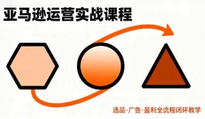 毕方电商·亚马逊全站会员课程(更新3月)-云峰项目库