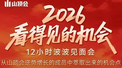 波波·2026看得见的机会12小时波波见面会(东莞线下课2月1日)-云峰项目库