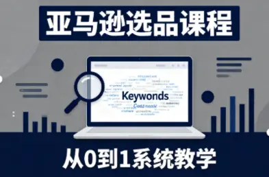 张景老师·亚马逊从0到1选品课程-云峰项目库