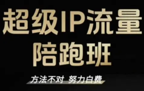 阿昱老师·超级IP流量陪跑班-云峰项目库