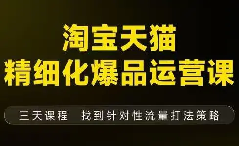 猫课子幽·淘宝天猫精细化爆品运营【音频+字幕+文档】(9月12-14杭州线下课)-云峰项目库