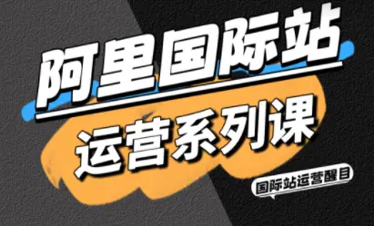 醒目老师·阿里国际站运营系列课(更新11月)-云峰项目库