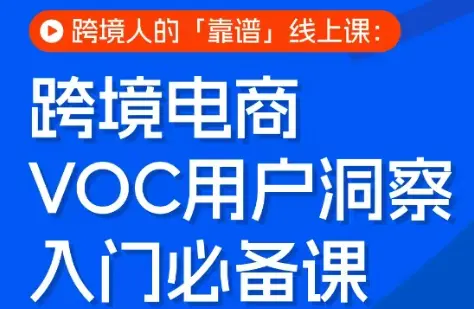 跨境电商VOC用户洞察入门必备课-云峰项目库