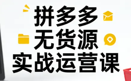 子枫老师·拼多多无货源实战运营课(更新12月)-云峰项目库