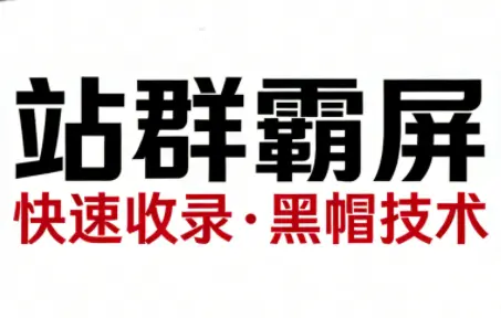 SEO野路子实战全集：快速收录、站群霸屏、黑帽技术(更新)-云峰项目库